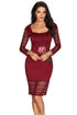 Sexy Rose Embroidery Wine Lace Mesh Bodycon Dress